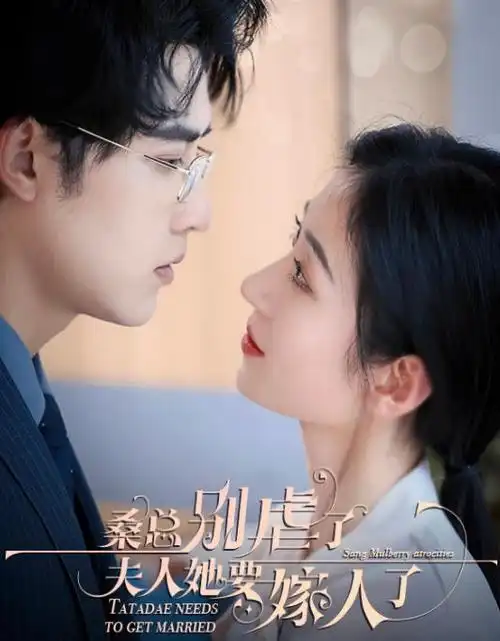 动漫岛-2025经典电影